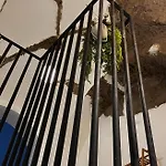 Nel Vico